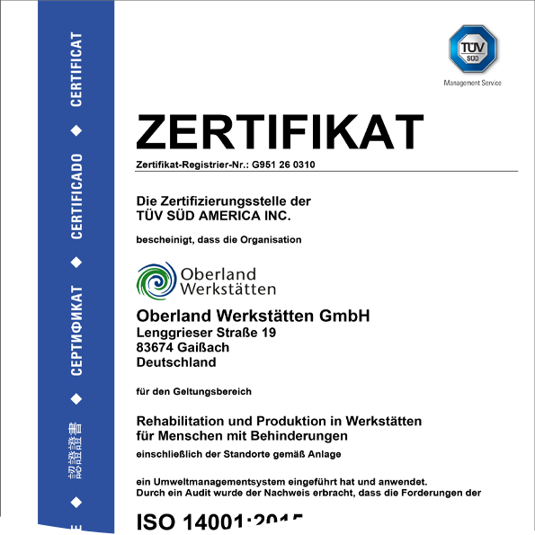 ISO 9001:2015 Englisch